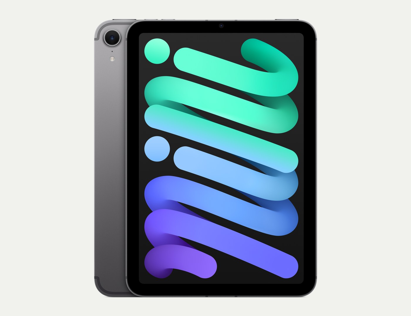 iPad mini, Space Gray
