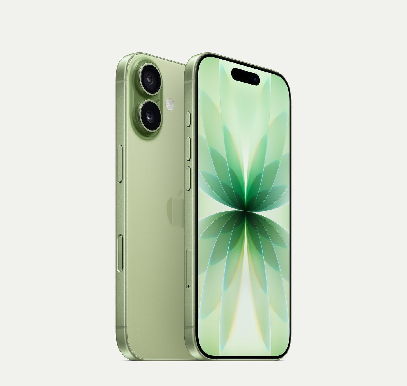 iPhone 17, Sage