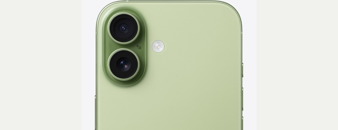 iPhone 17, Sage